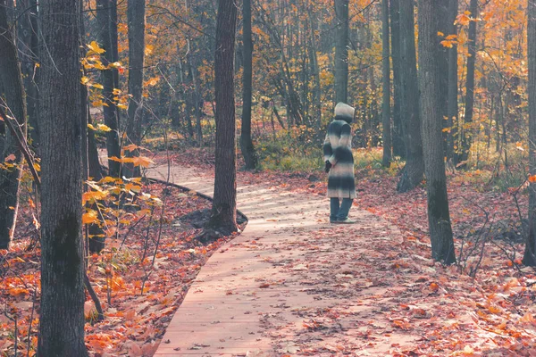Figurine effrayante dans le manteau dans la forêt, image désaturée — Photo