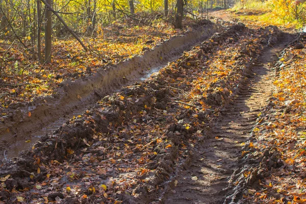 Dağınık kırsal toprak yol