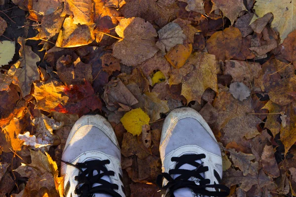 Φθινόπωρο σεζόν σε πάνινα παπούτσια — Φωτογραφία Αρχείου