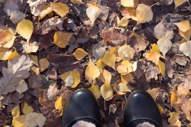 Kadın bacakları koyu Ayakkabı