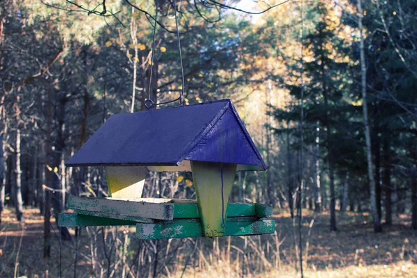 Dům na stromě pro ptáky, přívětivého bytu — Stock fotografie