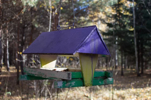 Dům na stromě pro ptáky, přívětivého bytu — Stock fotografie