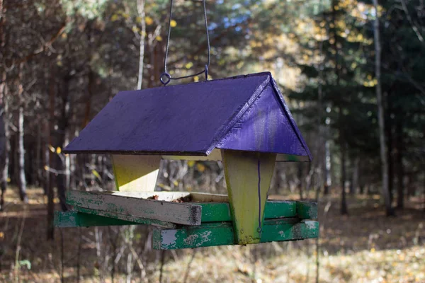 Boomhut voor de vogels, vrolijke appartement — Stockfoto