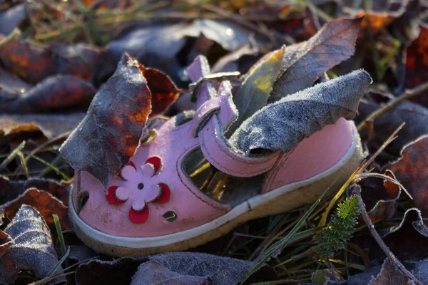 Sko för baby flicka på grund av hösten lämnar — Stockfoto