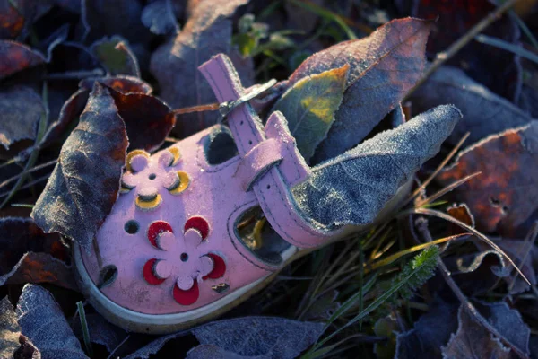 Sko för baby flicka på grund av hösten lämnar — Stockfoto