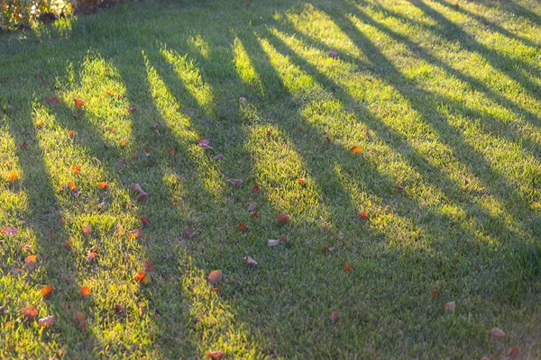 Sombra de uma cerca — Fotografia de Stock