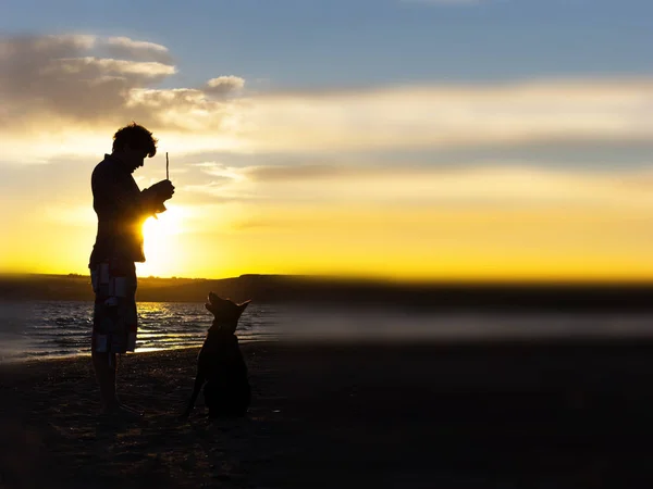 A kutya és a gazda sihouette — Stock Fotó