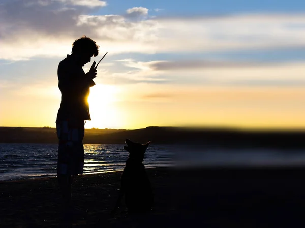 Silhueta de cão e anfitrião — Fotografia de Stock