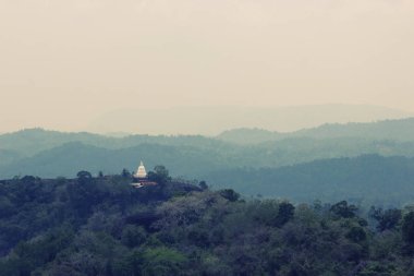 Çay alanları, Sri Lanka, tek ağaç hill, Nuwara eliya