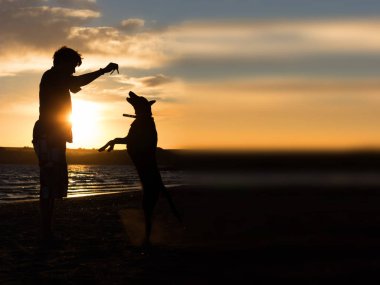 Doğada köpeğiyle genç adam