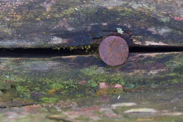 Clavo en el viejo pedazo de madera — Foto de Stock