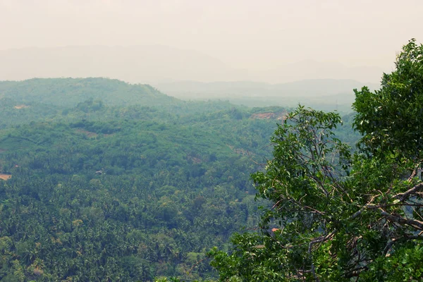 Vista sulla collina verde e montagne lontane — Foto Stock