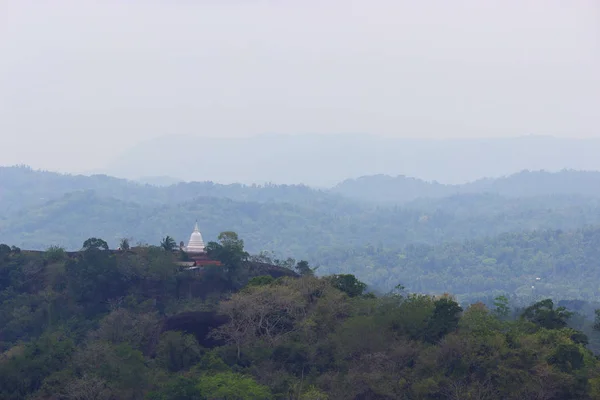 Thee velden van Sri Lanka, één boom hill, Nuwara eliya — Stockfoto