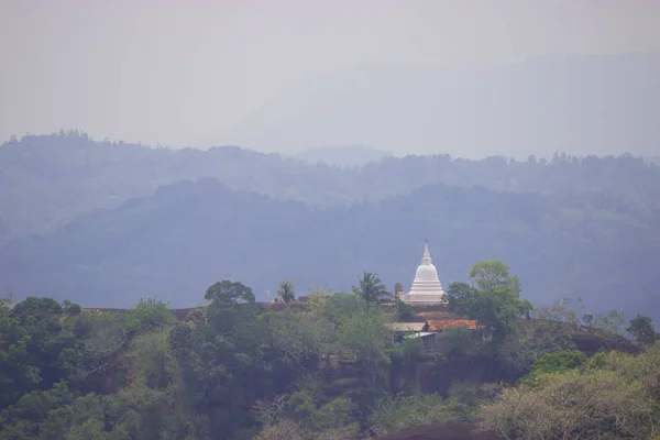 Campi da tè dello Sri Lanka, collina a singolo albero, Nuwara eliya — Foto Stock