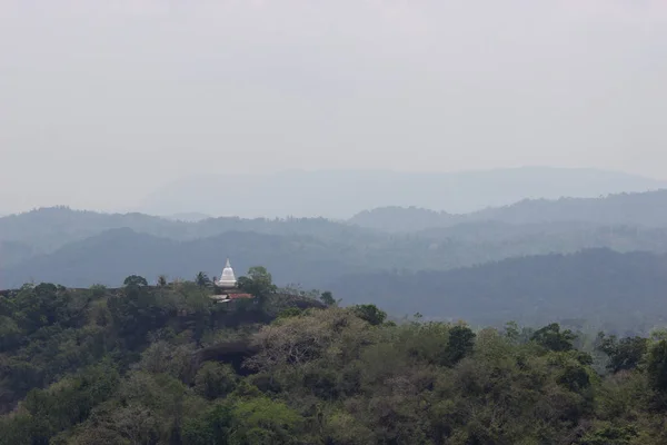 Campi da tè dello Sri Lanka, collina a singolo albero, Nuwara eliya — Foto Stock