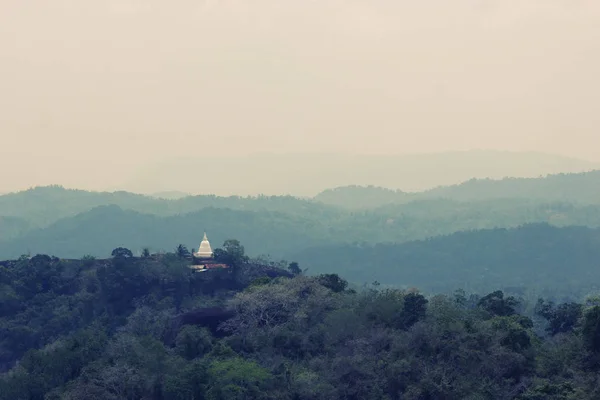 Campi da tè dello Sri Lanka, collina a singolo albero, Nuwara eliya — Foto Stock