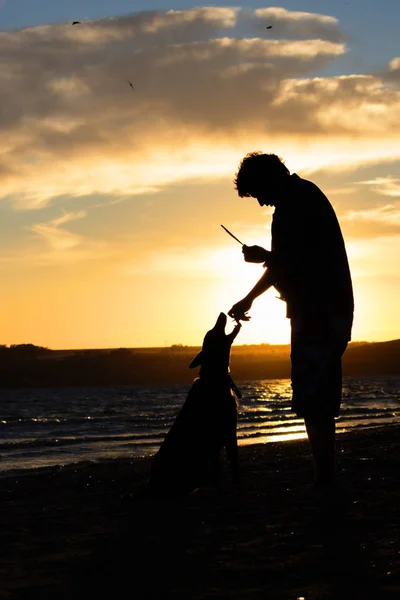 Junger Mann mit Hund in der Natur — Stockfoto