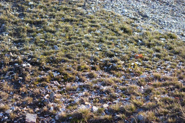 Soil with stones and salt — Stock Photo, Image