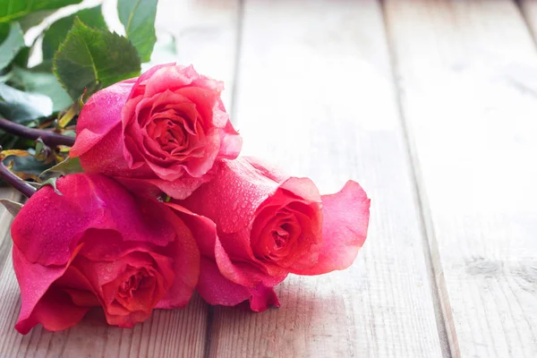 Prachtige roze rozen op tafel — Stockfoto