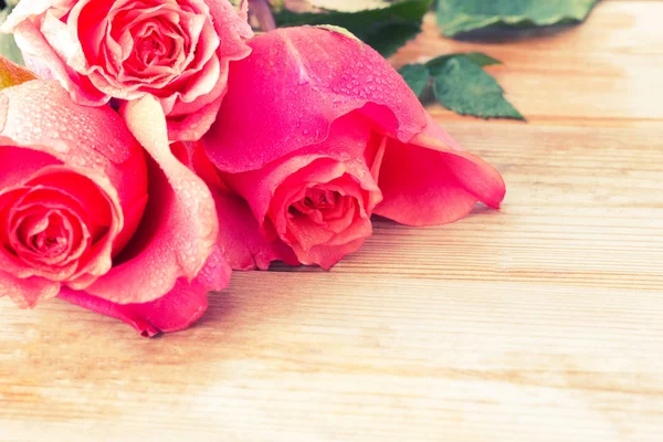 Masada güzel pembe güller