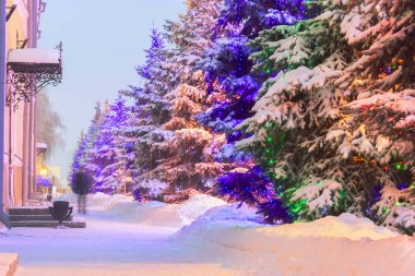 Aydınlatılmış Noel ağacı