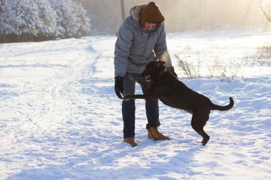 Köpekle kış Field'da oynamayı adam