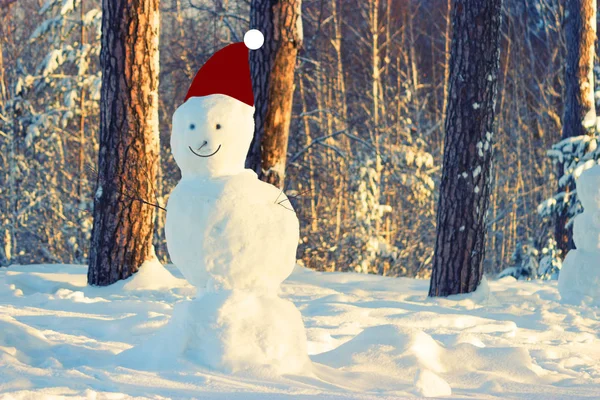 Gran muñeco de nieve en el bosque — Foto de Stock