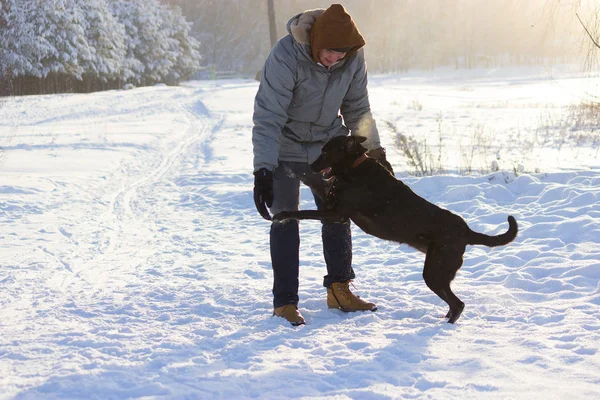 Mann spielt mit Hund auf Winterfeld — Stockfoto