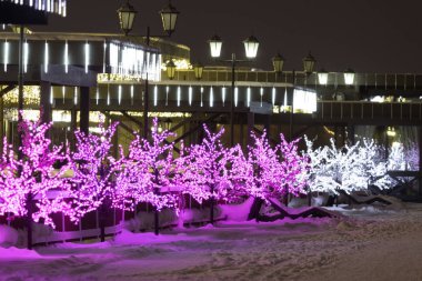 gece kış manzarası