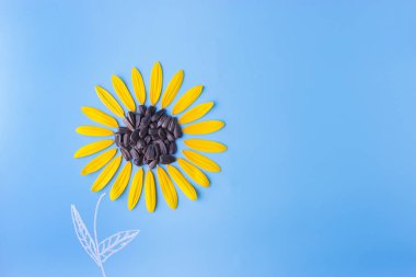 mavi arkaplanda ayçiçeği