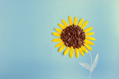 mavi arkaplanda ayçiçeği