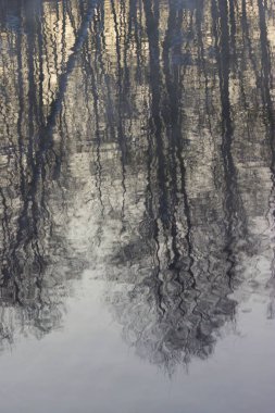 kış manzara Gölü