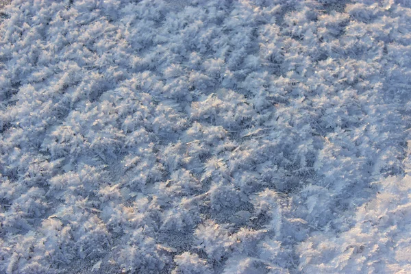Sneeuw bedekt met rijm onder de zon. — Stockfoto