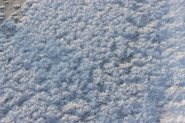 Χιόνι κάλυψε με παγετός κάτω από τον ήλιο. — Φωτογραφία Αρχείου