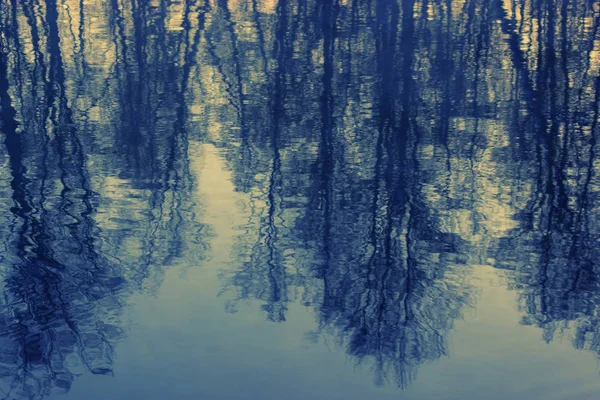 Winter landschap-lake — Stockfoto