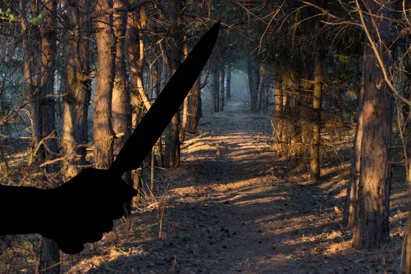 Sentiero in un bosco nebbioso , — Foto Stock