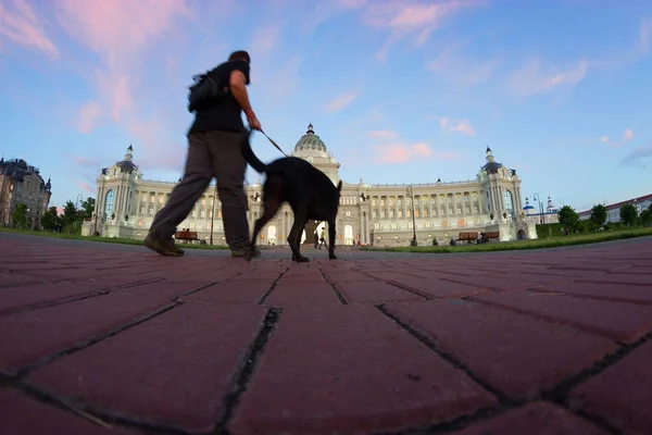 犬を飼っている男 — ストック写真