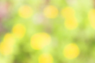 bulanık sarı çiçekler arka plan