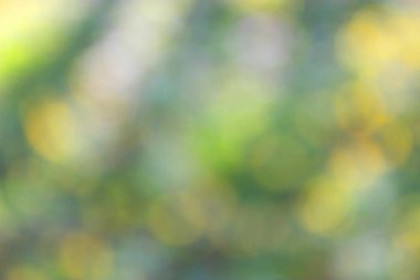 bulanık sarı çiçekler arka plan