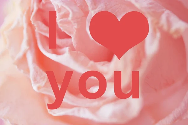 I love you — Stock Photo, Image