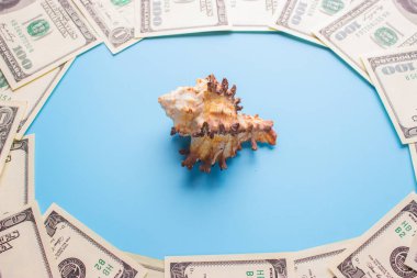 100 dolar faturaları