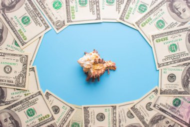 100 dolar faturaları