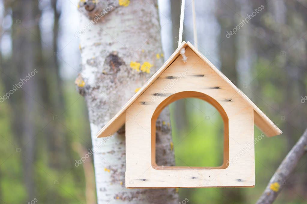 bird house in a park