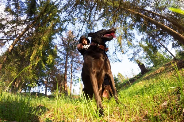 男性と彼の犬が森の中の珍しいショット — ストック写真