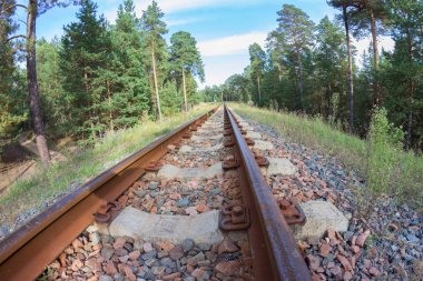 Parlak güneşli yaz gün