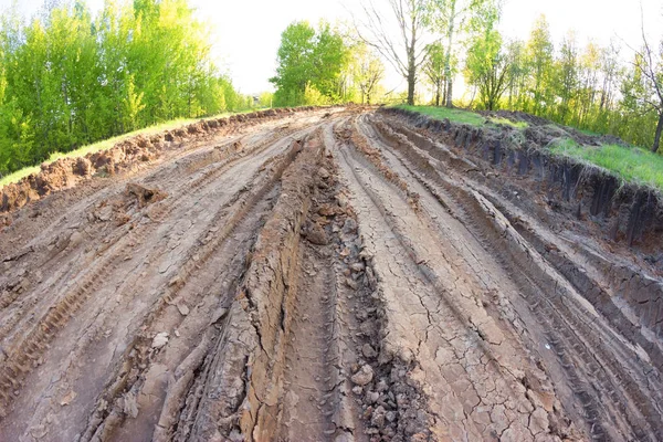 Route sale dans la forêt — Photo