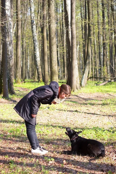 Jovem Mulher Jogar Com Cão Preto Parque — Fotografia de Stock