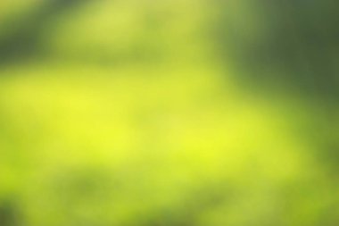 ufuk arka plan çimen