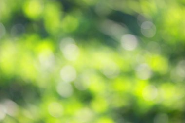 ufuk arka plan çimen