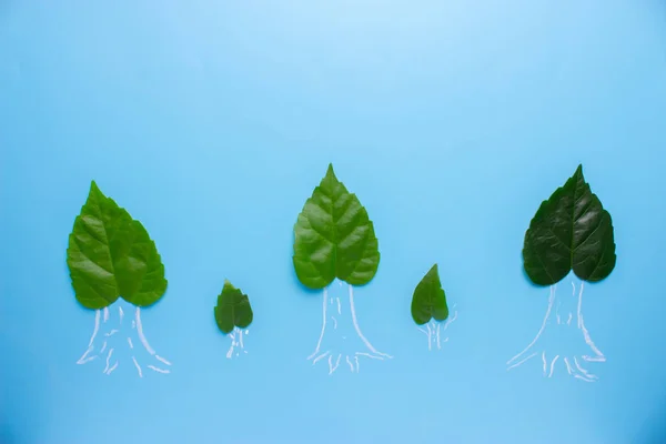 Зелена вирізка паперове дерево — стокове фото